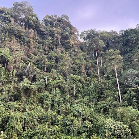 בוקיט לוואנג Ridho'S Homestay & Jungle Trekking מראה חיצוני תמונה