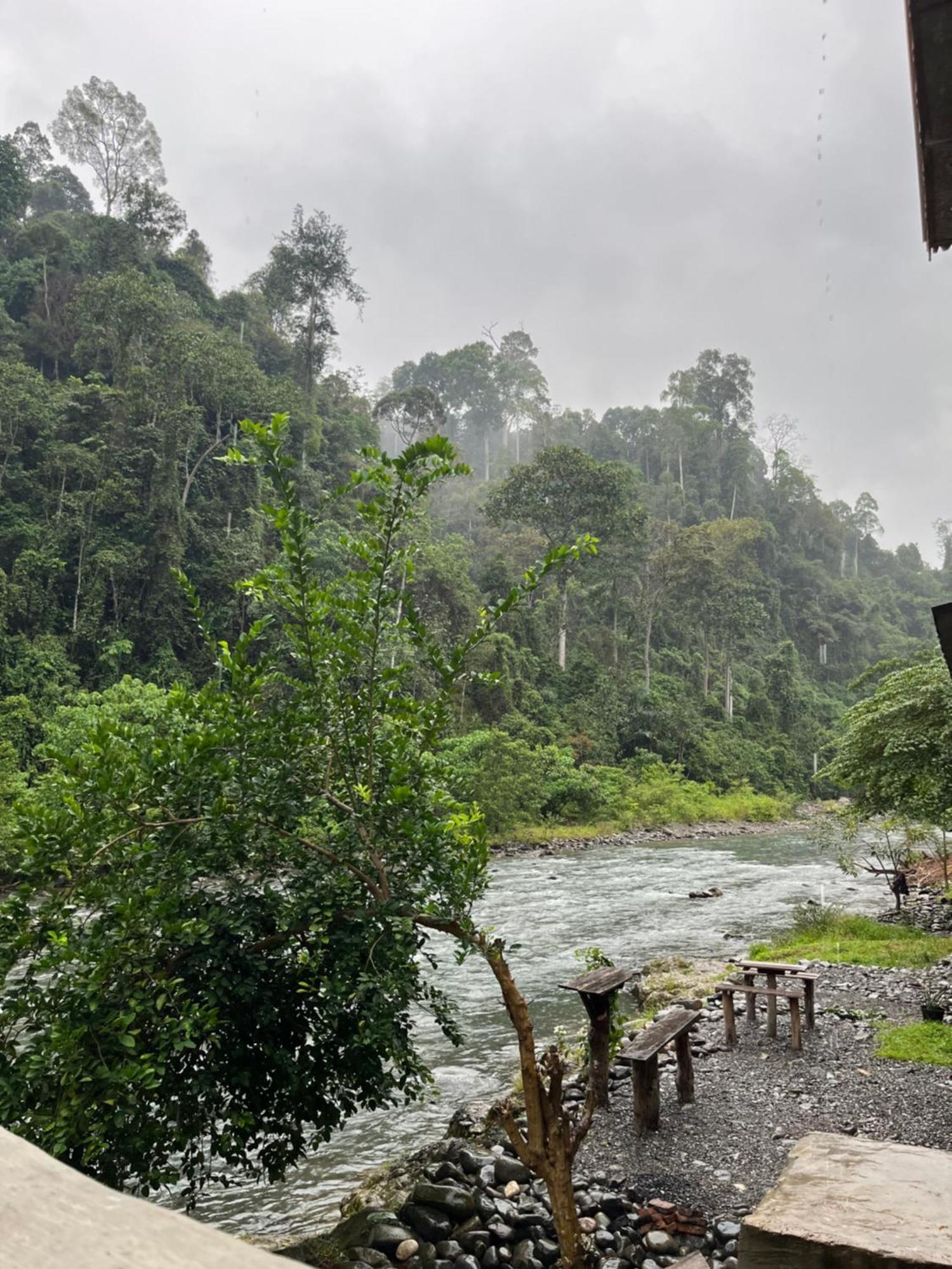 בוקיט לוואנג Ridho'S Homestay & Jungle Trekking מראה חיצוני תמונה