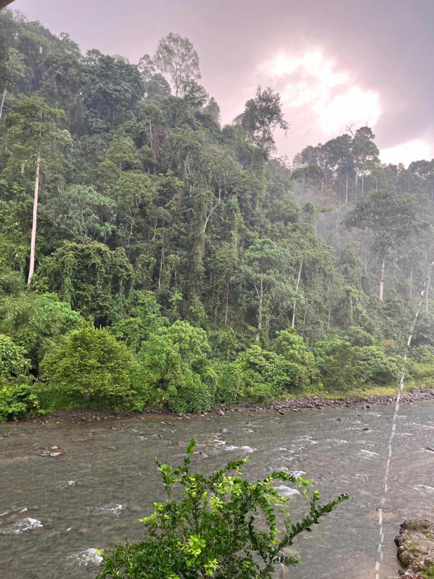 בוקיט לוואנג Ridho'S Homestay & Jungle Trekking מראה חיצוני תמונה