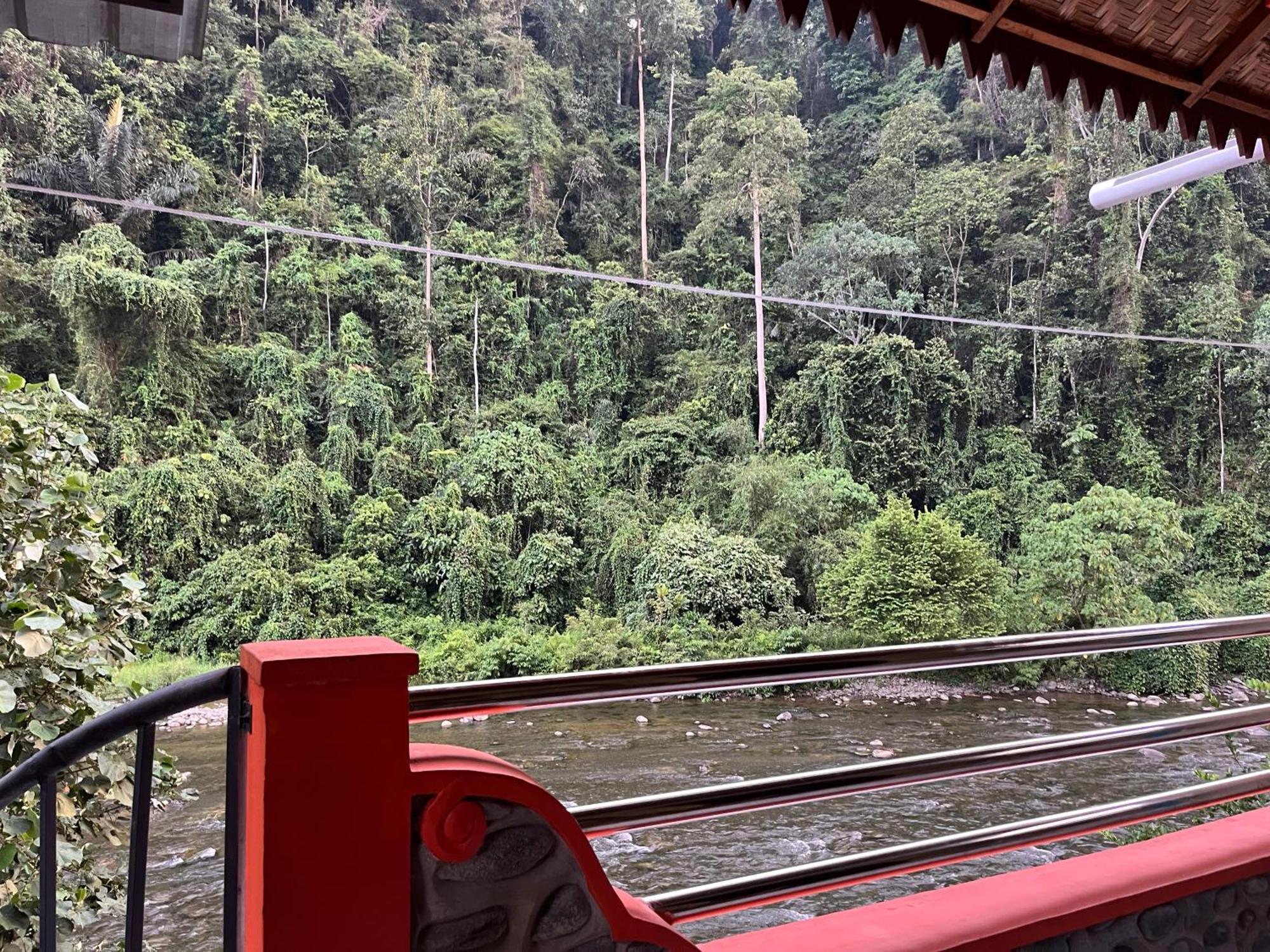 בוקיט לוואנג Ridho'S Homestay & Jungle Trekking מראה חיצוני תמונה